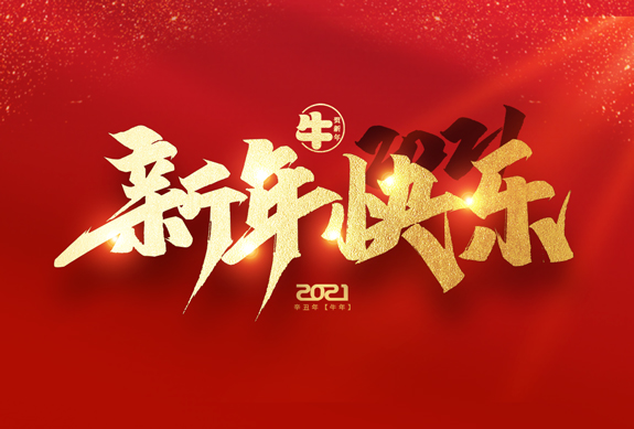 麗水市威儀自動(dòng)化技術(shù)有限公司祝全國(guó)人民2021年新年快樂！